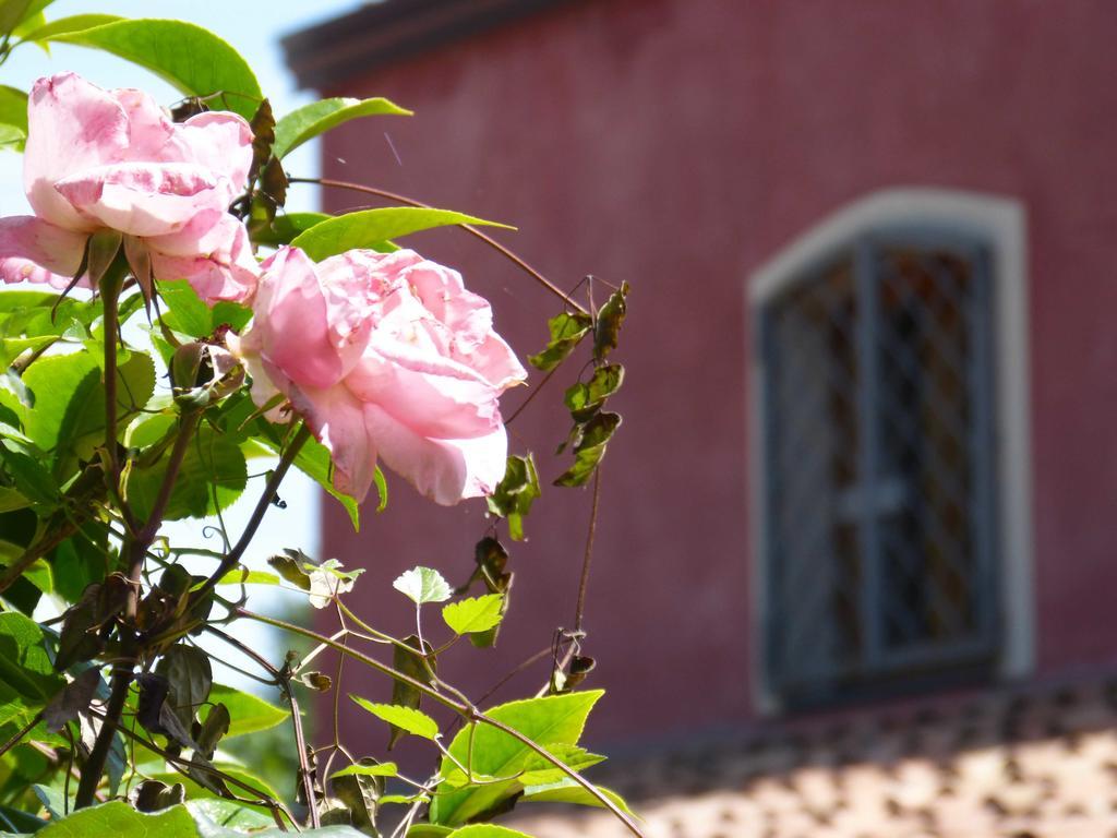L'Orto Dei Semplici Guest House Mascali Exterior foto